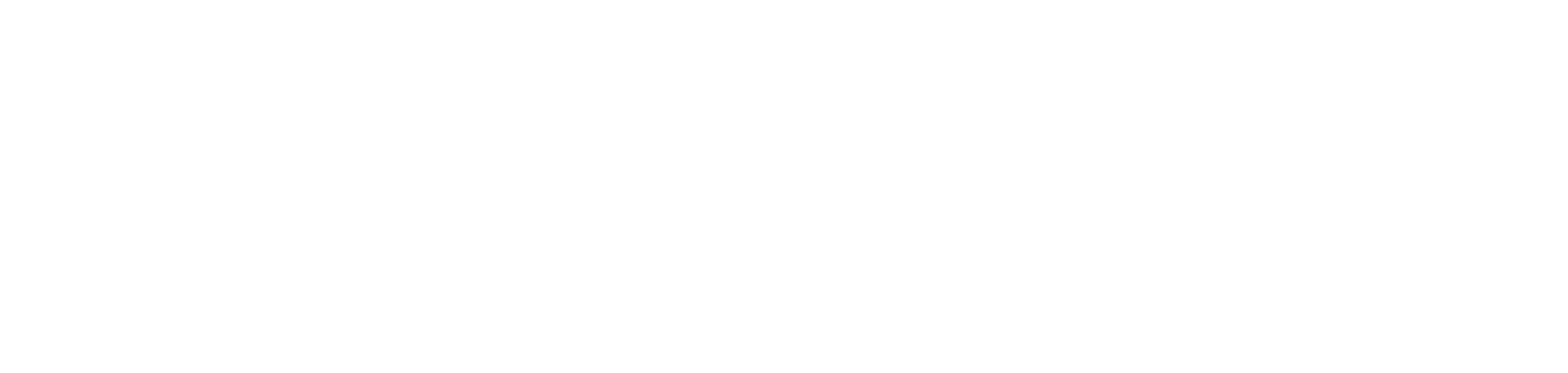 Leedflow